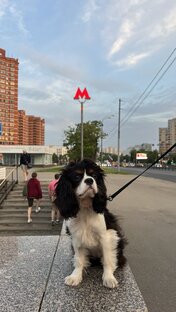 Мои не выдуманные истории