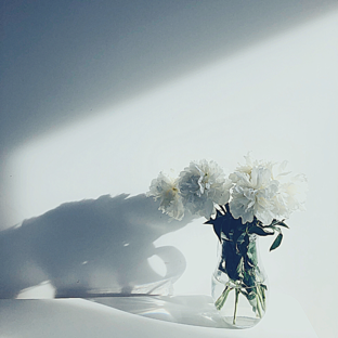 Коротко о важном