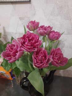 Дела огородные