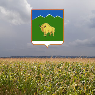 Мостовский район.