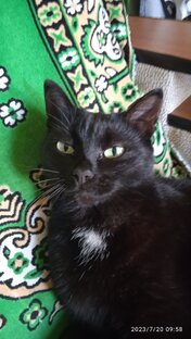 Барон. Мюнхаузен