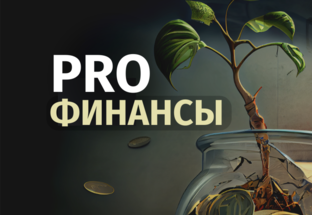 Pro финансы
