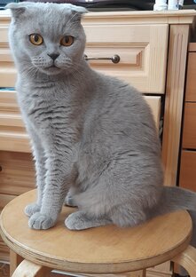 Лапочка дочка.😉😊