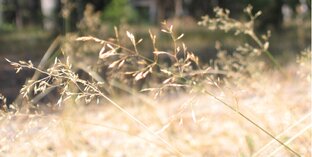 Имя для мага 