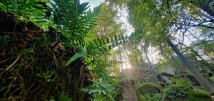 Интересное рядом!