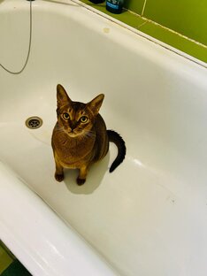 Смешные и позитивные видео