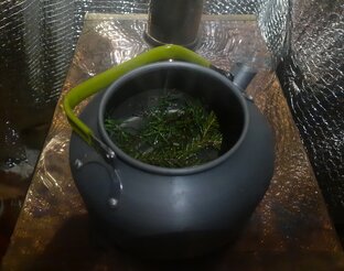 ПОХОДЫ К ЛЕСНОМУ ДОМИКУ. ЛЕСНОЙ ТЕРЕМОК