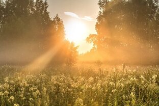 СТАТЬИ ПРО ЖИЗНЬ.