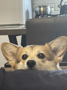 Наша любимая Моняша 😂