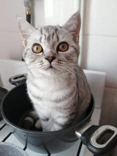 Просто и смешно