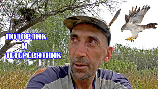 Птицы. Орнитология