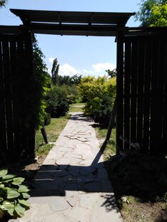 Ботанические сады
