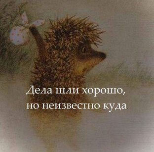 У Ежа II часть