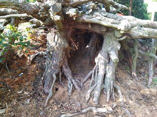 Красота природы и окружающего мира