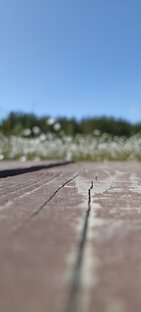 Интересные места в СПб и Ленобласти