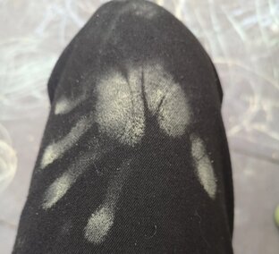 Первые публикации 