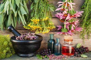 Лекарственные Растения