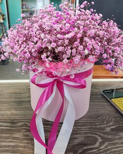 День рождения 24.06.2023