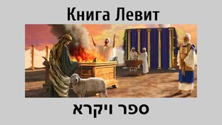 Левит