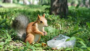 Август 2023-2024