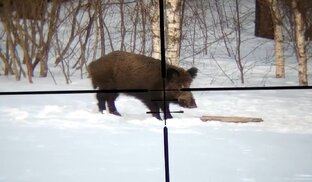 В прицеле