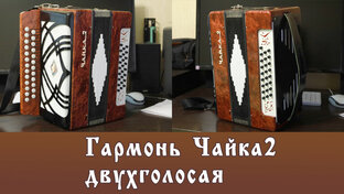 Обзор гармони, баяна, отзывы.