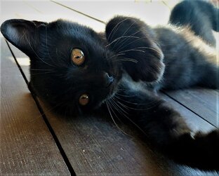 Приметы и суеверия