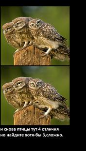 Shorts,Шортс короткие вертикальные ролики