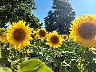 Немного о природе...