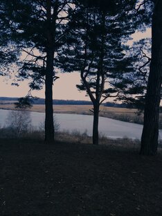 Топ моих 5 книг 