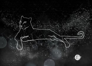 Братья меньшие