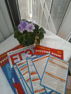 Пособия для занятий русским языком