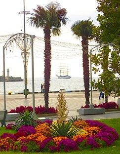 Ялта. Ноябрь 2022.