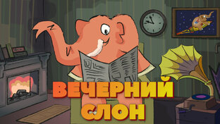 Программа ВЕЧЕРНИЙ СЛОН 🐘