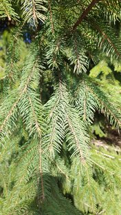 Советы с продуктами!