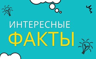 Факты обо всём 