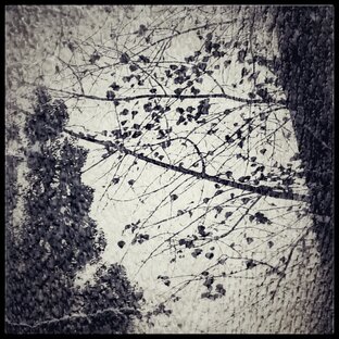 Философский бред