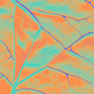 Творчество с детьми