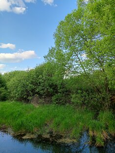 Природа Казацкой и ее окрестностей