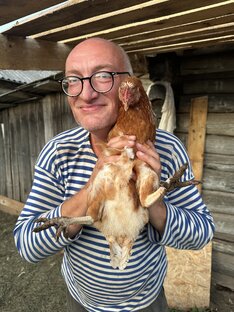 Несушки «Ломан Браун»