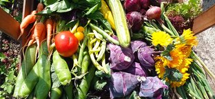 🌶️🥕 Овощи 🌶️🥕