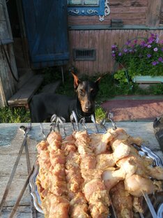 Любимая дача