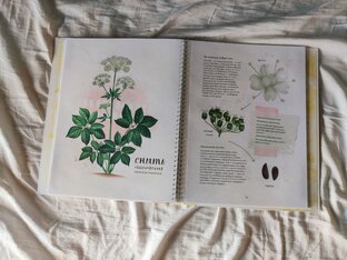 Летняя подборка 💚