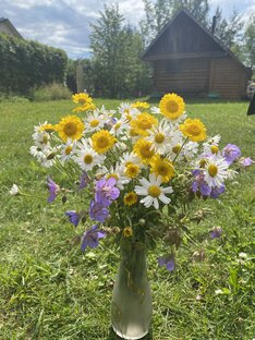 Дачная жизнь