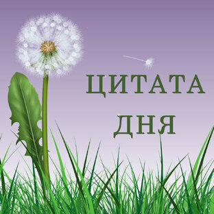 Цитаты