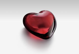 Мое любимое