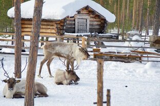 Коренные жители ХМАО. Ханты