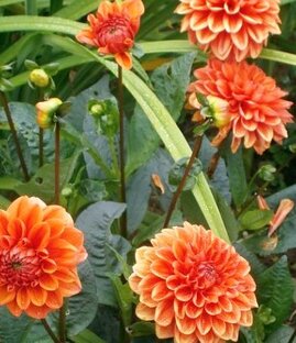 Интересные статьи и видео