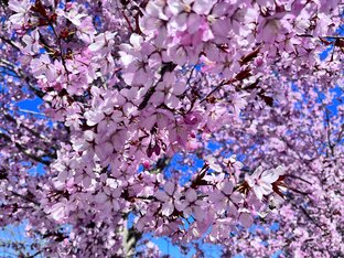 Красоты Швеции