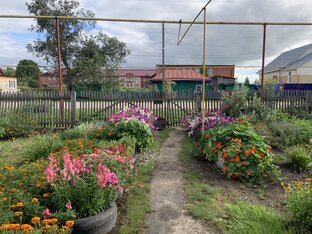 ОГОРОД👩🏻‍🌾 И САД🪻